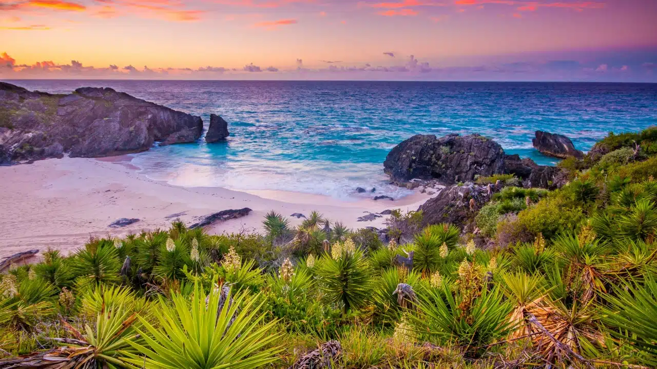 Why-Visit-Bermuda